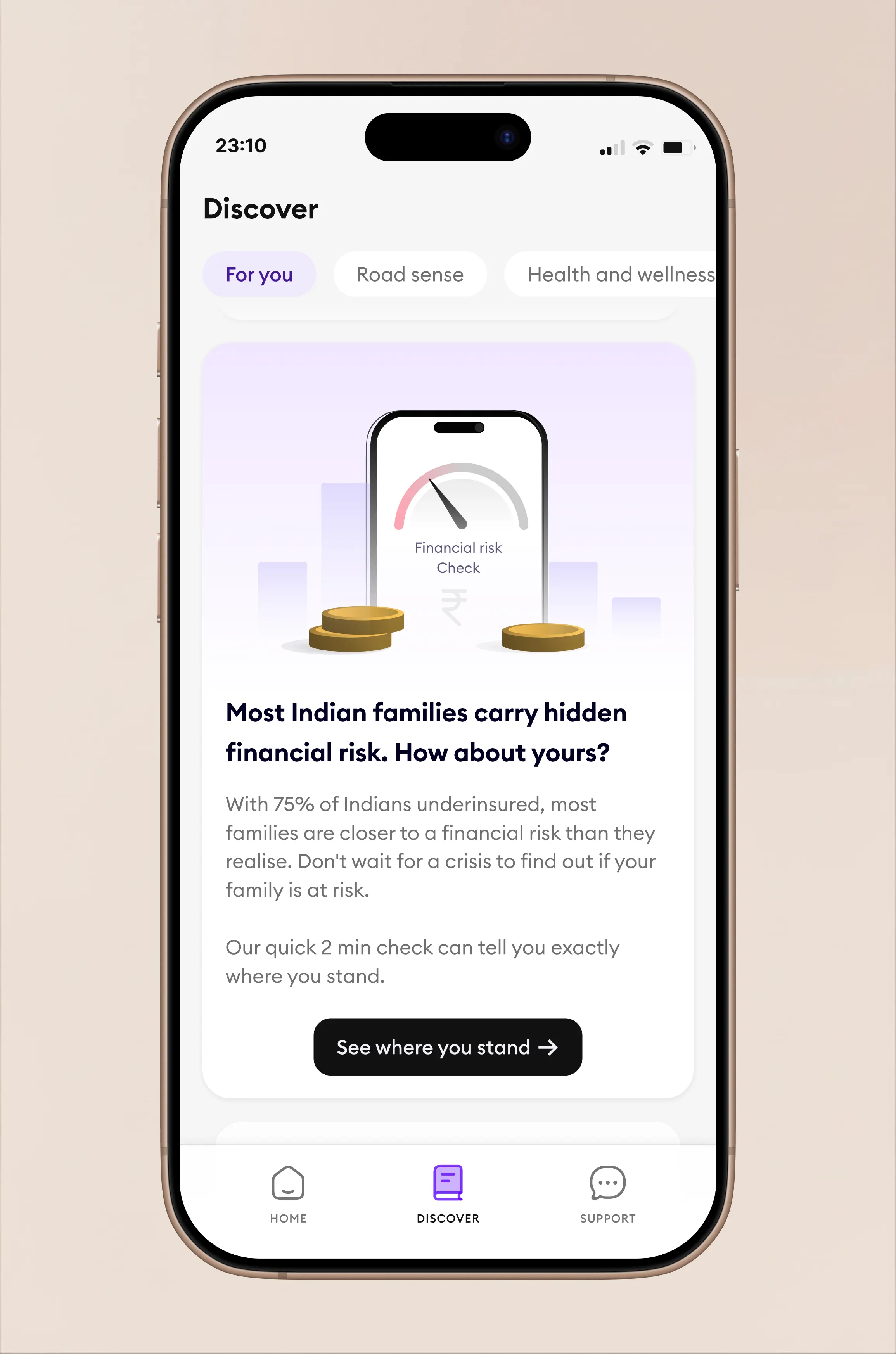 application screenshot